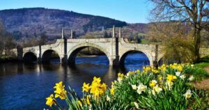 Read more about the article 5 Best Things to Do in Aberfeldy Perthshire