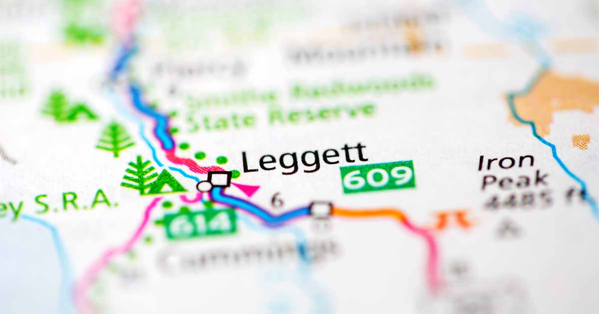 Read more about the article Best Fun Things to Do in Leggett CA